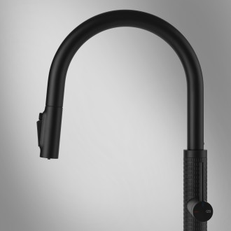 Смеситель кухонный с подключением к фильтру Gessi 316 Meccanica матовый черный (60824#299) Смеситель кухонный с подключением к фильтру Gessi 316 Meccanica матовый черный (60824#299)