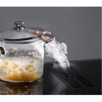 Индукционная варочная панель с вытяжкой Foster Milano Air 7391 245 Индукционная варочная панель с вытяжкой Foster Milano Air 7391 245