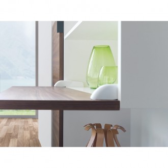 Барный стопор с доводчиком Salice Pacta (FRBKFEXISN9)