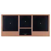 Индукционная варочная поверхность Foster Castone 7439 018