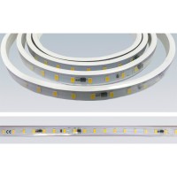 Светодиодная лента 5000 24V BOBINA (5L543C) 11,40W теплый свет