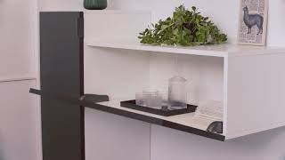 Барный стопор с доводчиком SALICE Pacta тип L Smove (FRBKFEXISN9) - Видео 1